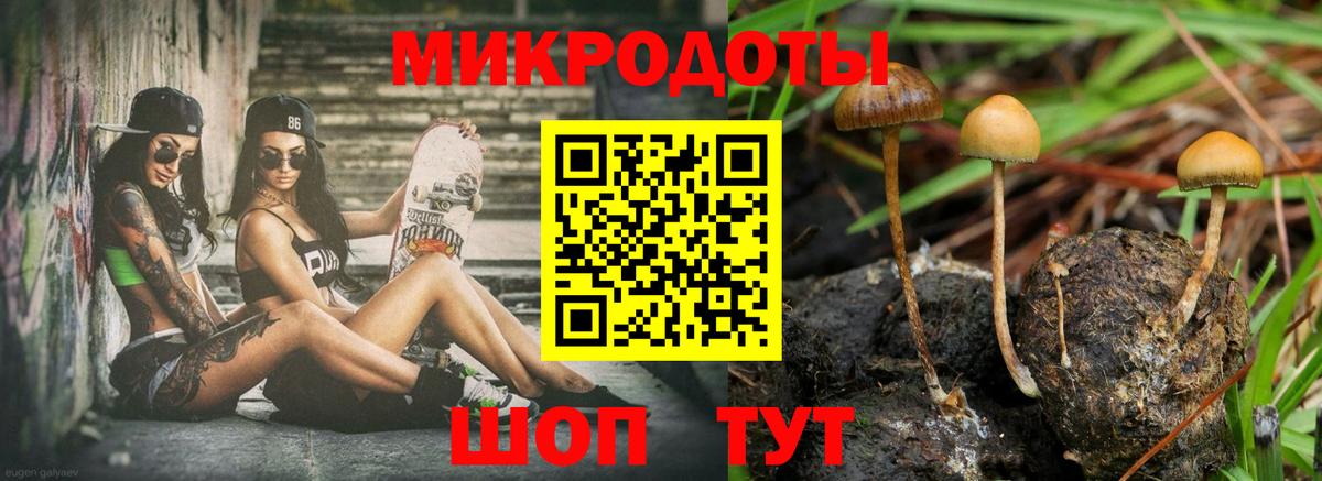 Сердобск  Псилоцибиновые грибы GOLDEN TEACHER  Вход с VPN 